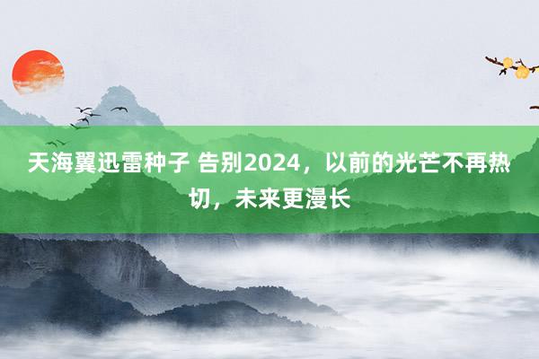 天海翼迅雷种子 告别2024，以前的光芒不再热切，未来更漫长