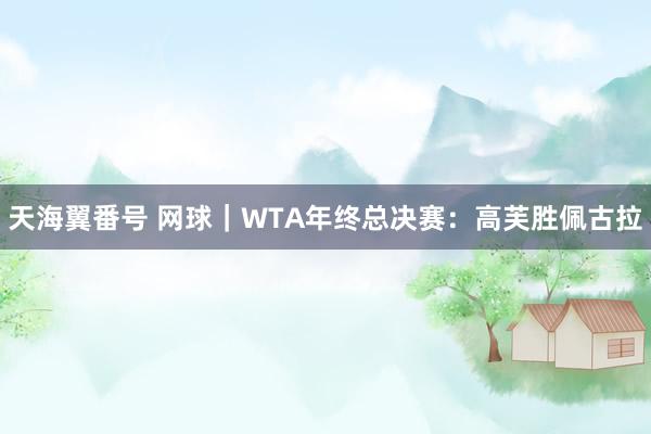 天海翼番号 网球｜WTA年终总决赛：高芙胜佩古拉