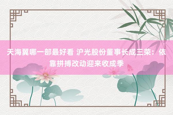 天海翼哪一部最好看 沪光股份董事长成三荣：依靠拼搏改动迎来收成季