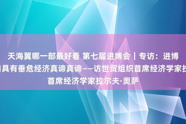 天海翼哪一部最好看 第七届进博会｜专访：进博汇聚焦入口具有垂危经济真谛真谛——访世贸组织首席经济学家拉尔夫·奥萨