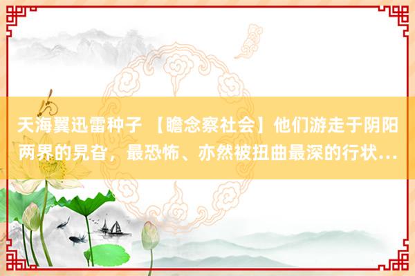 天海翼迅雷种子 【瞻念察社会】他们游走于阴阳两界的旯旮，最恐怖、亦然被扭曲最深的行状…