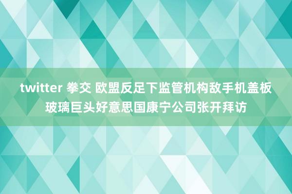 twitter 拳交 欧盟反足下监管机构敌手机盖板玻璃巨头好意思国康宁公司张开拜访