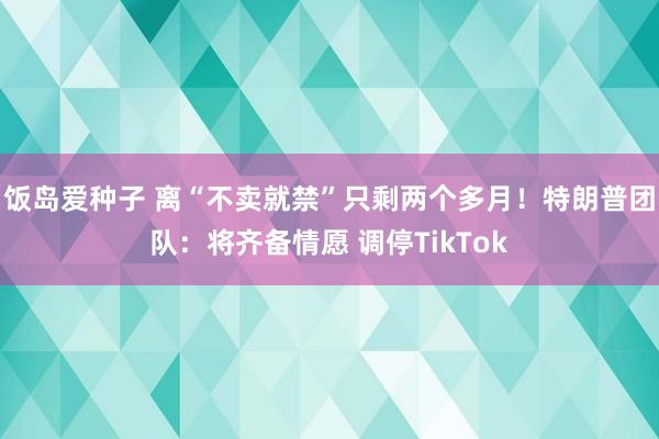 饭岛爱种子 离“不卖就禁”只剩两个多月！特朗普团队：将齐备情愿 调停TikTok