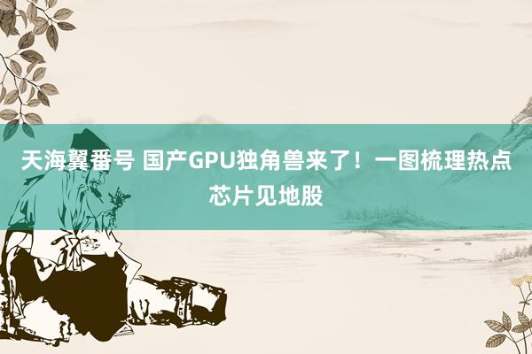 天海翼番号 国产GPU独角兽来了！一图梳理热点芯片见地股