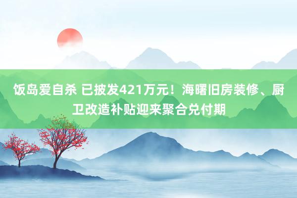 饭岛爱自杀 已披发421万元！海曙旧房装修、厨卫改造补贴迎来聚合兑付期