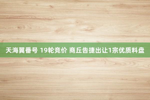 天海翼番号 19轮竞价 商丘告捷出让1宗优质料盘