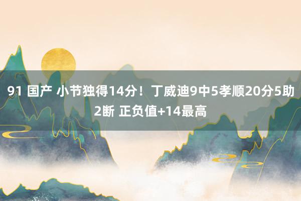 91 国产 小节独得14分！丁威迪9中5孝顺20分5助2断 正负值+14最高