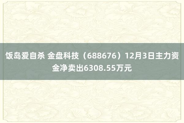 饭岛爱自杀 金盘科技（688676）12月3日主力资金净卖出6308.55万元