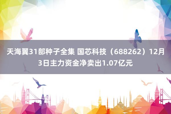 天海翼31部种子全集 国芯科技（688262）12月3日主力资金净卖出1.07亿元