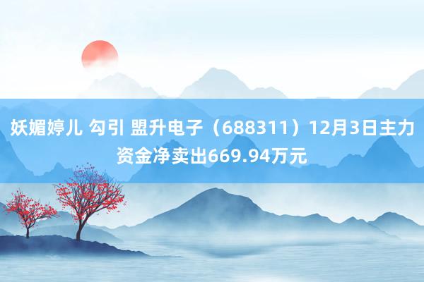 妖媚婷儿 勾引 盟升电子（688311）12月3日主力资金净卖出669.94万元