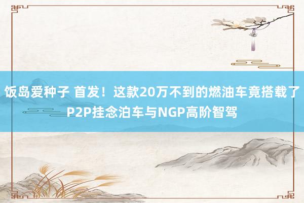 饭岛爱种子 首发！这款20万不到的燃油车竟搭载了P2P挂念泊车与NGP高阶智驾