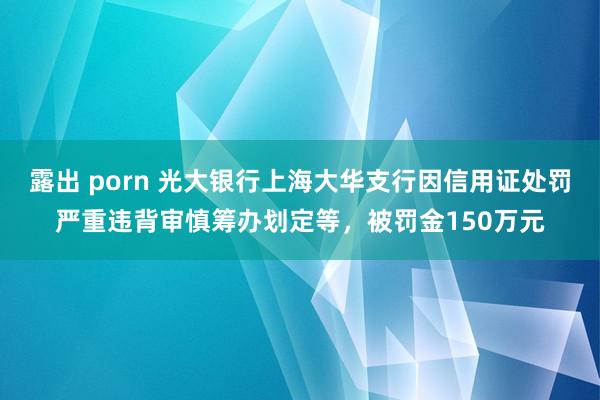 露出 porn 光大银行上海大华支行因信用证处罚严重违背审慎筹办划定等，被罚金150万元