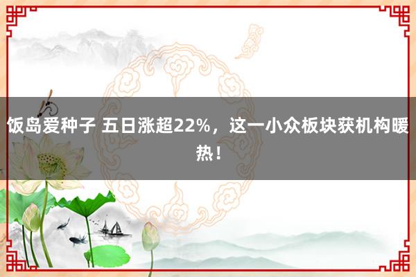 饭岛爱种子 五日涨超22%，这一小众板块获机构暖热！