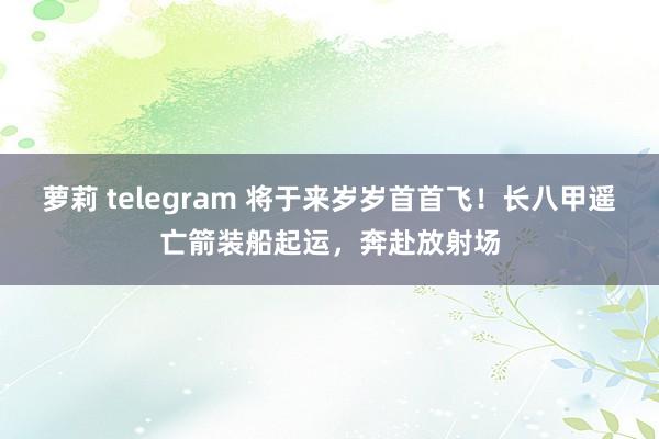 萝莉 telegram 将于来岁岁首首飞！长八甲遥亡箭装船起运，奔赴放射场