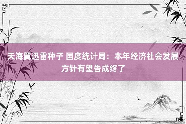 天海翼迅雷种子 国度统计局：本年经济社会发展方针有望告成终了