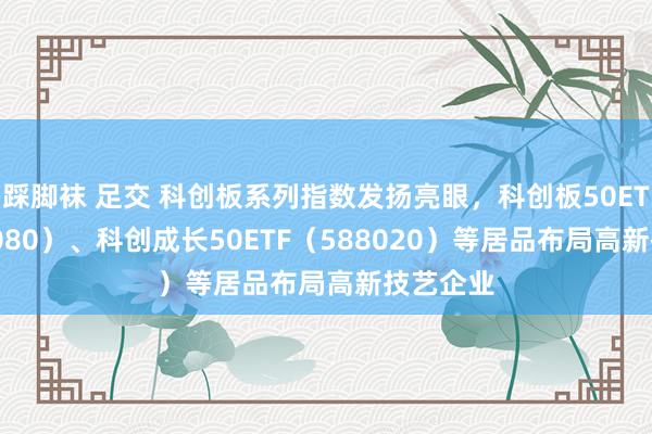 踩脚袜 足交 科创板系列指数发扬亮眼，科创板50ETF（588080）、科创成长50ETF（588020）等居品布局高新技艺企业