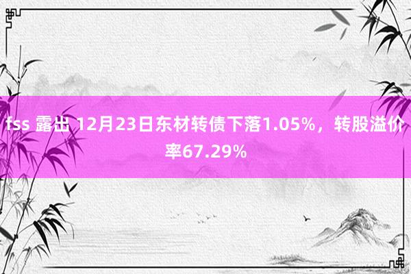 fss 露出 12月23日东材转债下落1.05%，转股溢价率67.29%