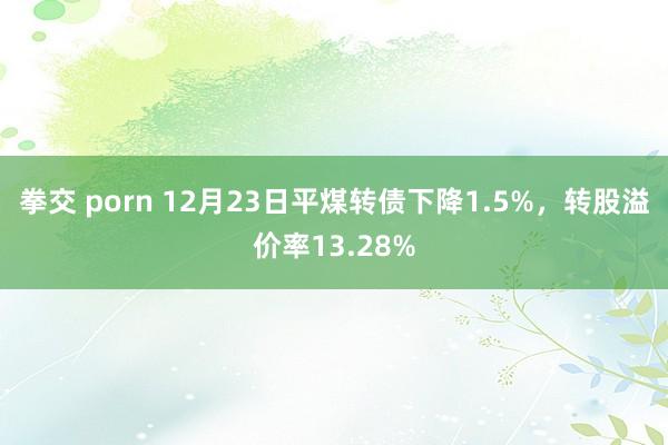 拳交 porn 12月23日平煤转债下降1.5%，转股溢价率13.28%