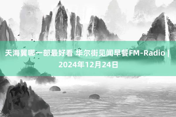 天海翼哪一部最好看 华尔街见闻早餐FM-Radio | 2024年12月24日