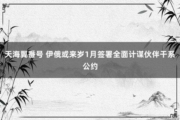 天海翼番号 伊俄或来岁1月签署全面计谋伙伴干系公约