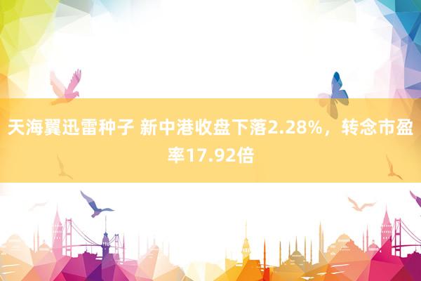 天海翼迅雷种子 新中港收盘下落2.28%，转念市盈率17.92倍