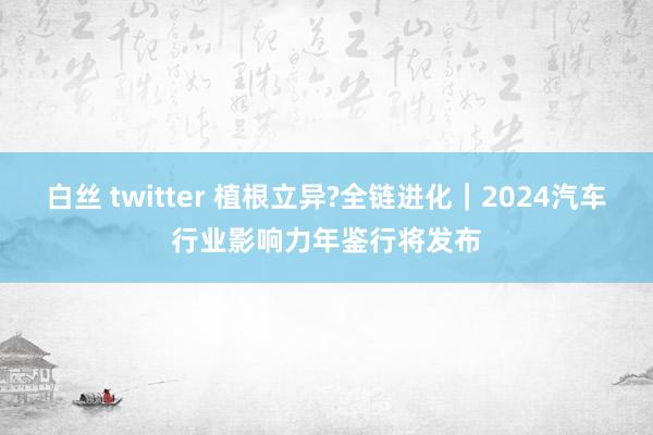 白丝 twitter 植根立异?全链进化｜2024汽车行业影响力年鉴行将发布