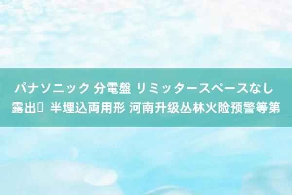 パナソニック 分電盤 リミッタースペースなし 露出・半埋込両用形 河南升级丛林火险预警等第