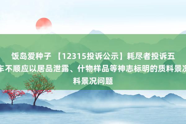 饭岛爱种子 【12315投诉公示】耗尽者投诉五菱汽车不顺应以居品泄露、什物样品等神志标明的质料景况问题