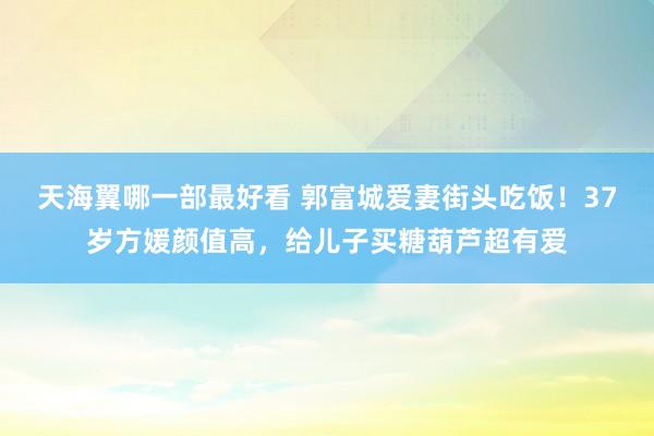 天海翼哪一部最好看 郭富城爱妻街头吃饭！37岁方媛颜值高，给儿子买糖葫芦超有爱