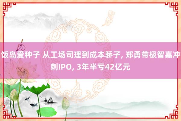 饭岛爱种子 从工场司理到成本骄子， 郑勇带极智嘉冲刺IPO， 3年半亏42亿元