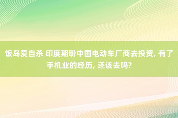 饭岛爱自杀 印度期盼中国电动车厂商去投资， 有了手机业的经历， 还该去吗?