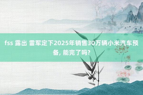 fss 露出 雷军定下2025年销售30万辆小米汽车预备， 能完了吗?