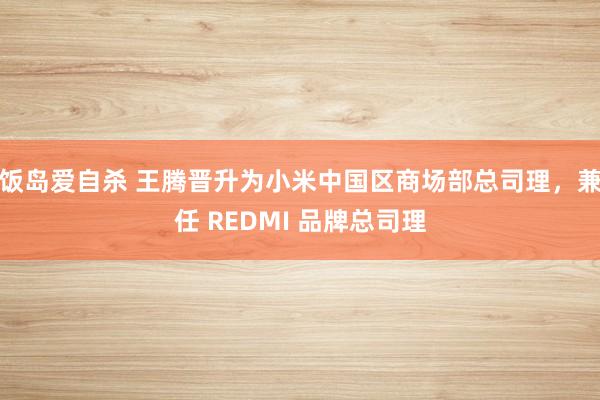 饭岛爱自杀 王腾晋升为小米中国区商场部总司理，兼任 REDMI 品牌总司理