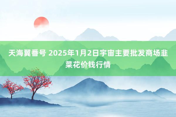 天海翼番号 2025年1月2日宇宙主要批发商场韭菜花价钱行情