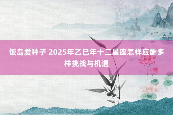 饭岛爱种子 2025年乙巳年十二星座怎样应酬多样挑战与机遇