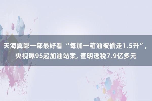 天海翼哪一部最好看 “每加一箱油被偷走1.5升”， 央视曝95起加油站案， 查明逃税7.9亿多元