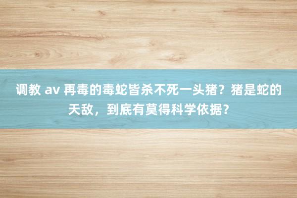 调教 av 再毒的毒蛇皆杀不死一头猪？猪是蛇的天敌，到底有莫得科学依据？