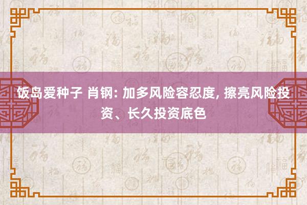 饭岛爱种子 肖钢: 加多风险容忍度， 擦亮风险投资、长久投资底色