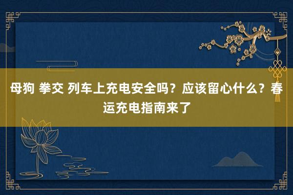 母狗 拳交 列车上充电安全吗？应该留心什么？春运充电指南来了