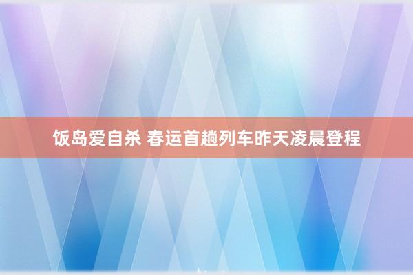 饭岛爱自杀 春运首趟列车昨天凌晨登程