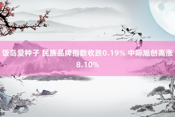 饭岛爱种子 民族品牌指数收跌0.19% 中际旭创高涨8.10%